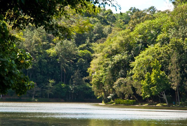 Parque Malwee - Planeta mais verde