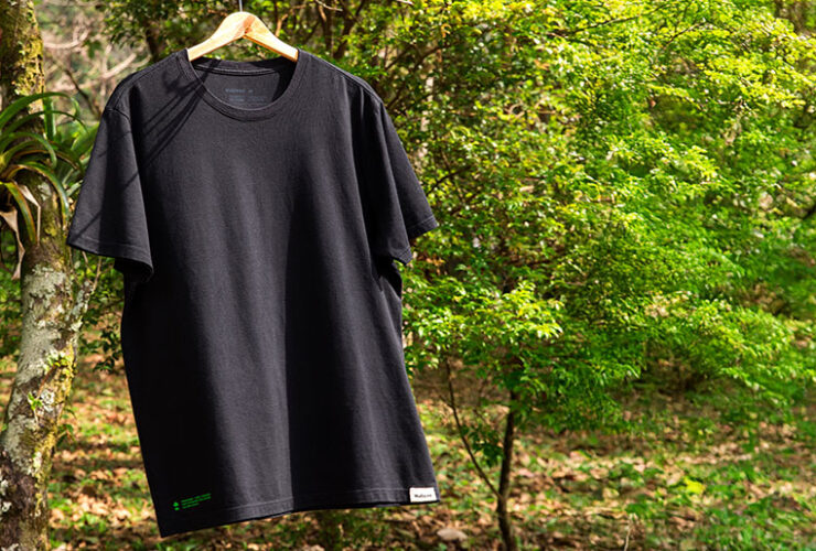 Camiseta Ar.voree, pendurada em uma árvore do Parque Malwee, balança com o vento.